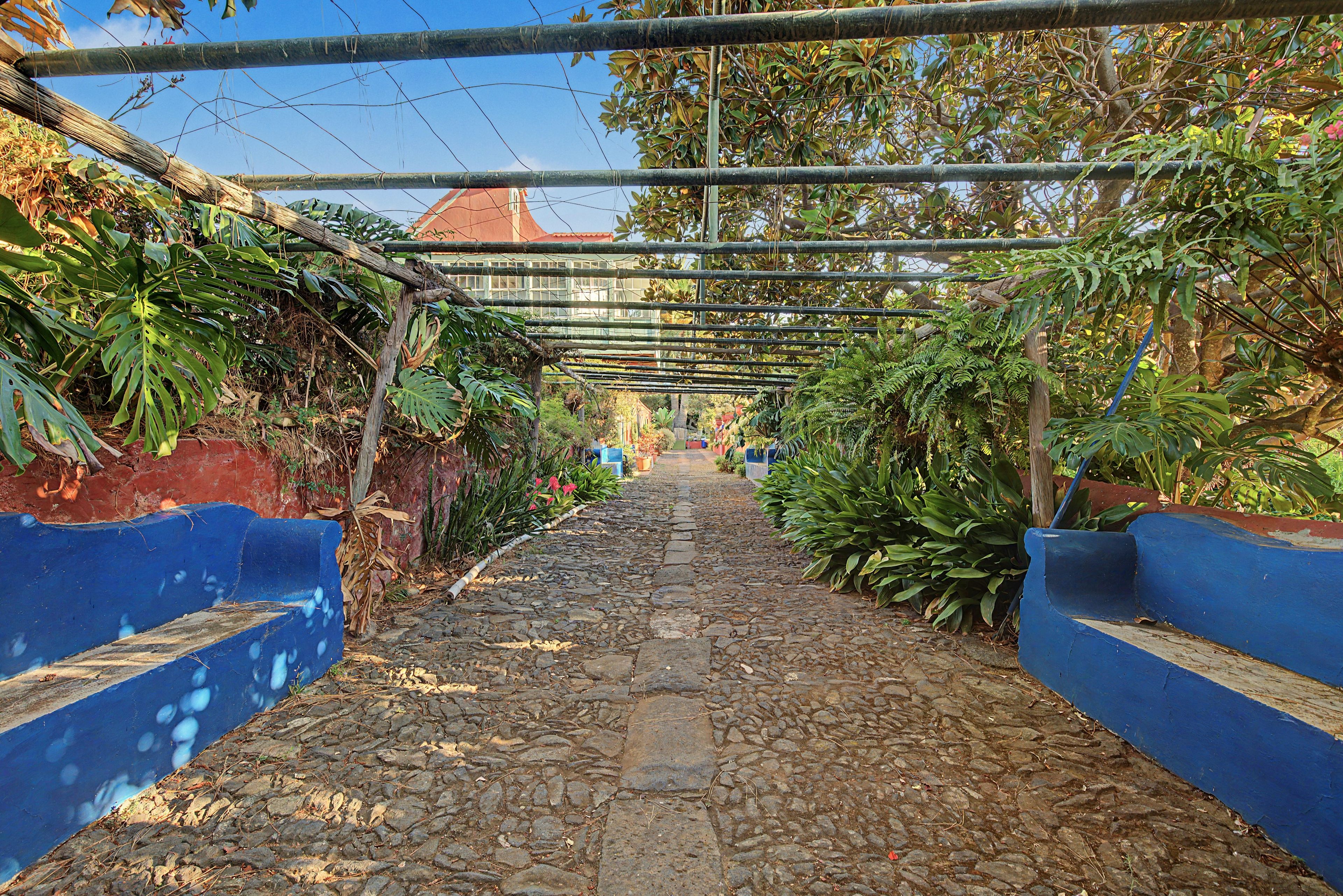 Uma trilha de pedras irregulares ladeada por paredes azuis e vegetação exuberante, conduzindo a um edifício com telhado vermelho.