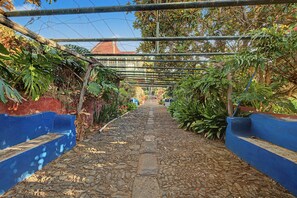 Un sendero empedrado bordeado por paredes azules y abundante vegetación, que conduce a un edificio con techo rojo.