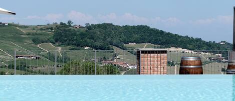 A swimming pool with a view of vineyards and buildings in the background.