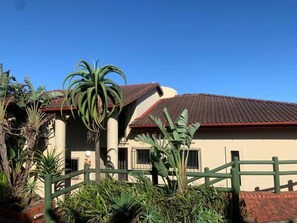 A building with a red-tiled roof, surrounded by lush greenery including large palm trees.
