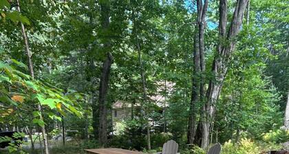 Cozy, pet-friendly, tranquil home minutes to downtown Bar Harbor & Acadia.