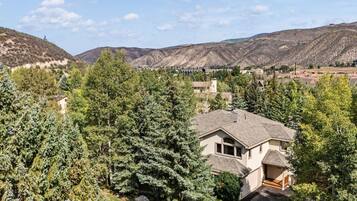 A residential area with a house surrounded by dense evergreen trees, a clear sky, and a mountainous backdrop.