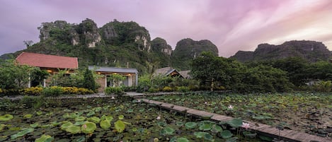 A tranquil garden with a pond, wooden walkways, and traditional buildings.