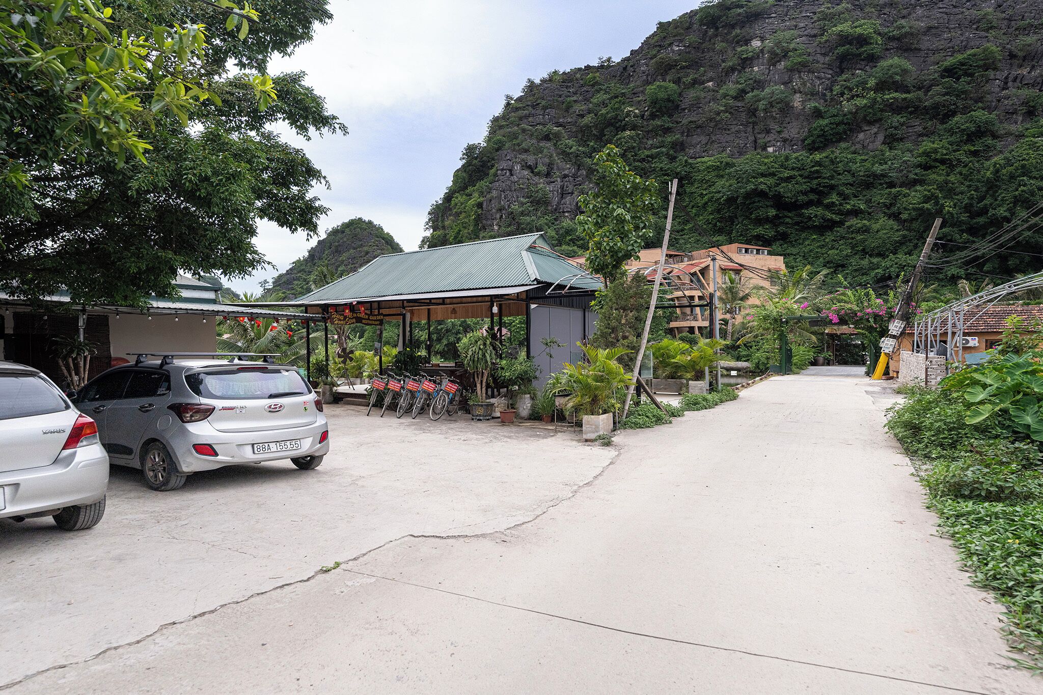 A paved driveway leading to a building with a green roof, parked cars, and lush greenery.