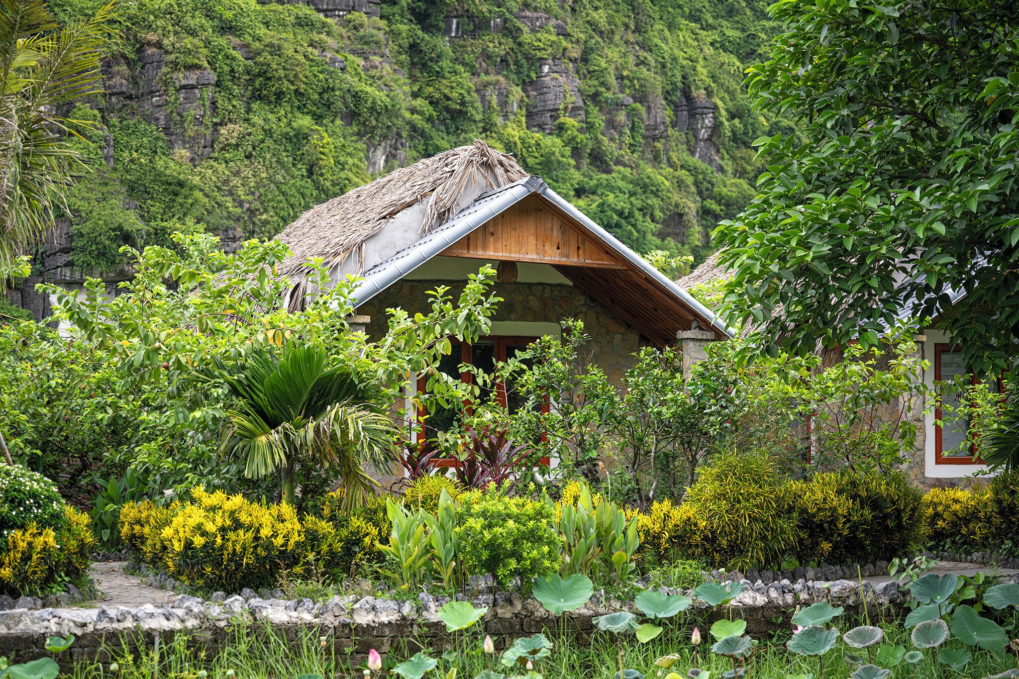 A rustic house with a thatched roof surrounded by lush greenery and a pond.