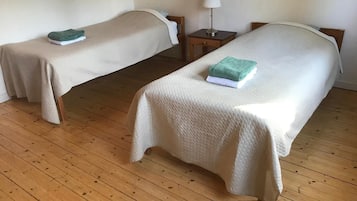 Two single beds with white bedding, a wooden floor, and a bedside table with a lamp.