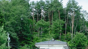 A two-story building with a tiled roof, surrounded by dense greenery and trees. - NEO-Japanese House with Sauna in Rice Fields | Pet-Friendly·Workspace·Kitchen (佐久市)