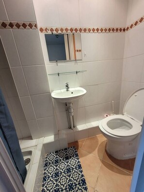Een badkamer met een witte wastafel, een spiegel, een toilet en een vloermat met een patroon.