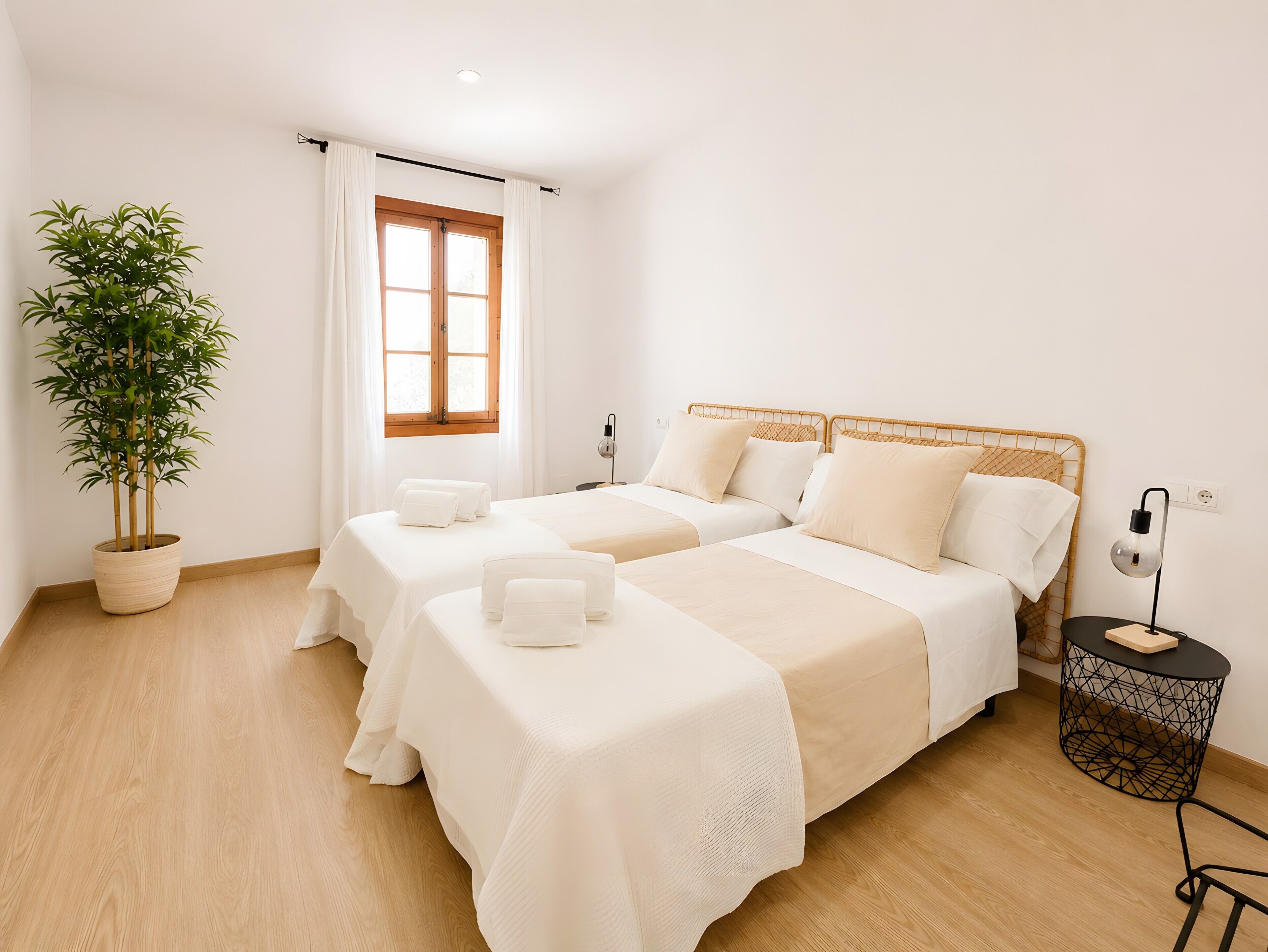 A hotel room with two beds, a potted plant, a window with curtains, a bedside table with a lamp, and a wall socket.
