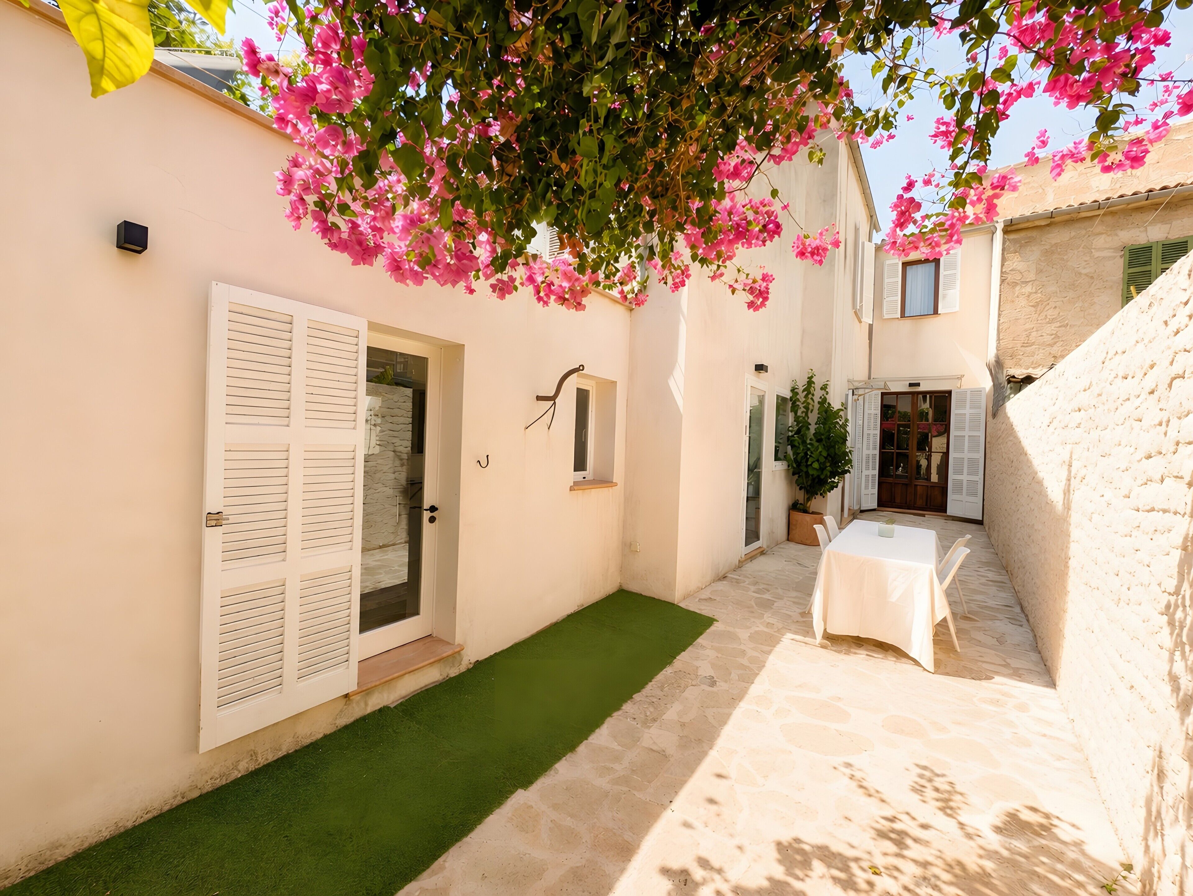 A courtyard with a table, a door, and a potted plant.