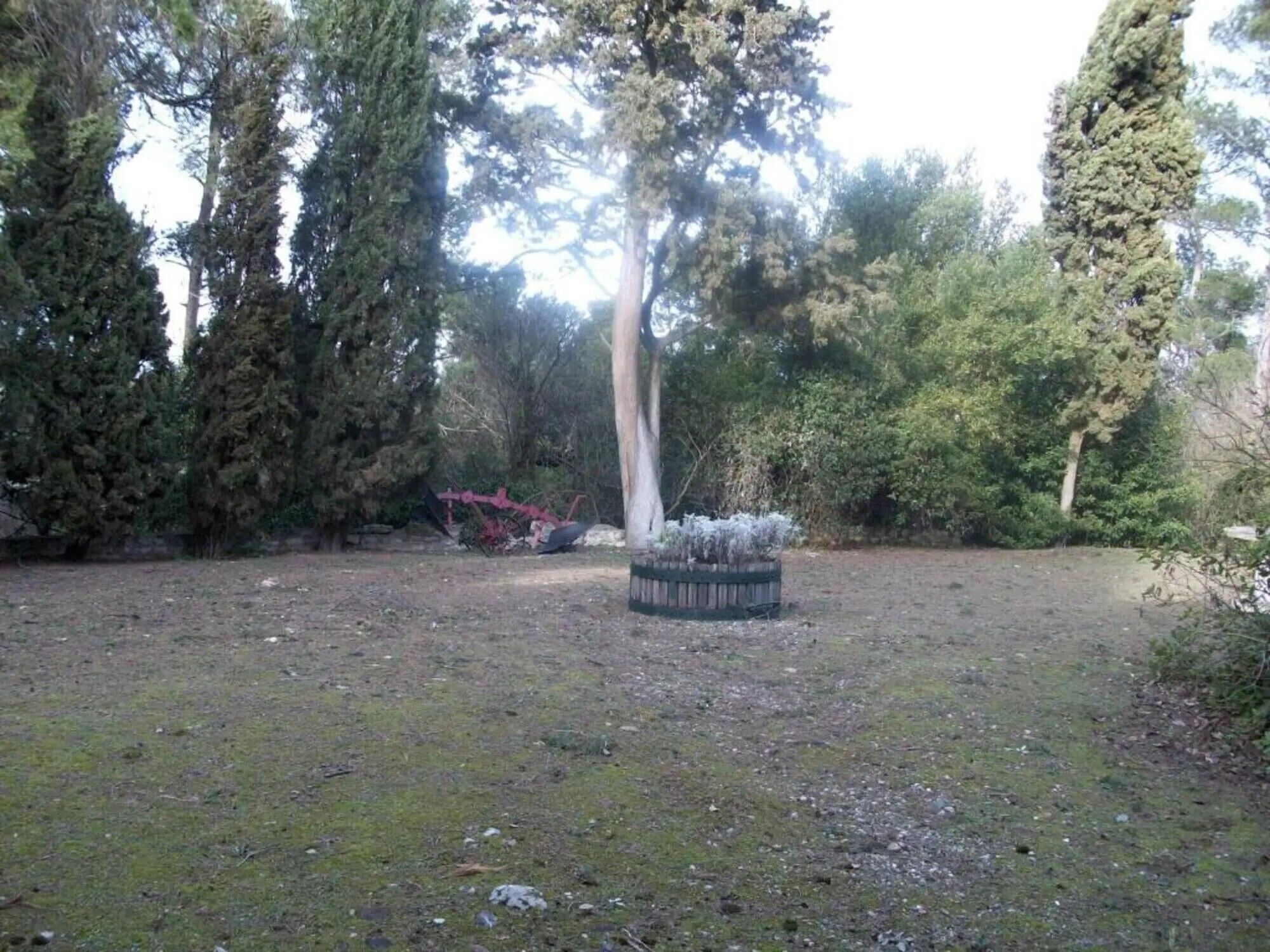 Een gazon met een rond, stenen bouwwerk, omgeven door hoge bomen.