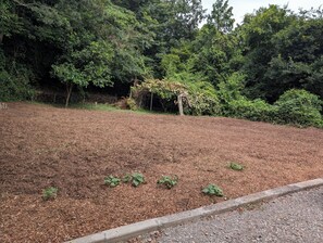 A landscaped area with mulch, a gravel path, and dense greenery in the background.