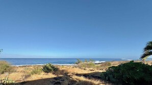 Un paysage côtier avec de l’herbe sèche, des cactus et un ciel bleu clair.