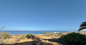 A coastal landscape with dry grass, cacti, and a clear blue sky. - Whale Beach Villa by HILO Collection (Les Trois-Bassins)