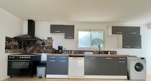 A modern kitchen with a stove, dishwasher, and washing machine. - Whale Beach Villa by HILO Collection (Les Trois-Bassins)