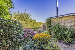 Un jardí amb plantes i flors diverses, una paret de maó i una estructura metàl·lica.