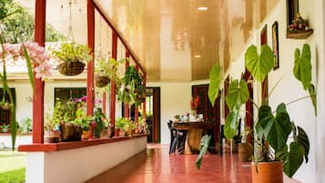 Un couloir orné de plantes suspendues, une table en bois et une porte à cadre rouge.