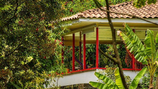 Un espacio al aire libre cubierto con una estructura blanca y detalles rojos, rodeado de abundante vegetación.