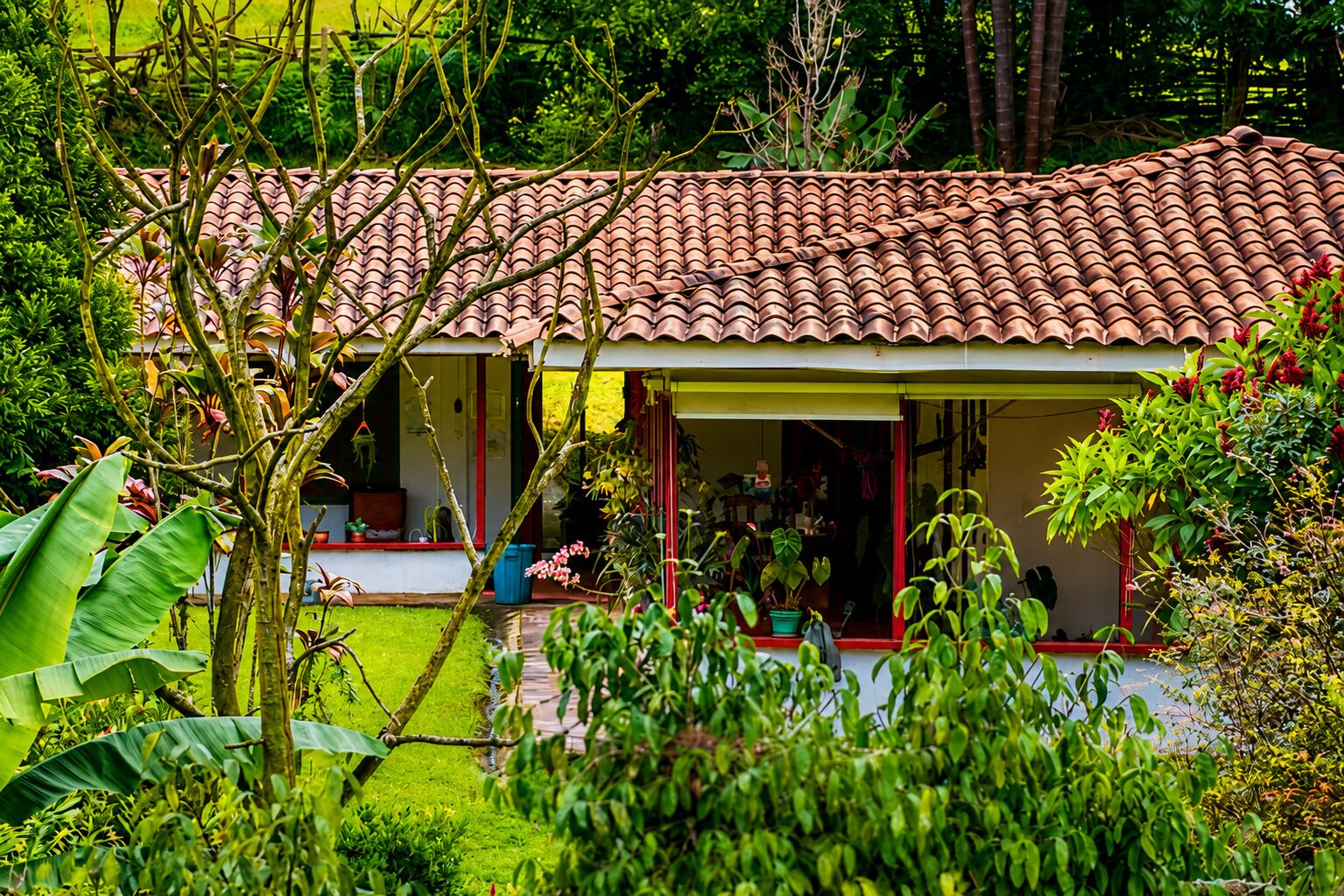Una casa con techo de tejas, rodeada de abundante vegetación y plantas.
