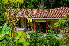Una casa con techo de tejas, rodeada de abundante vegetación y plantas.