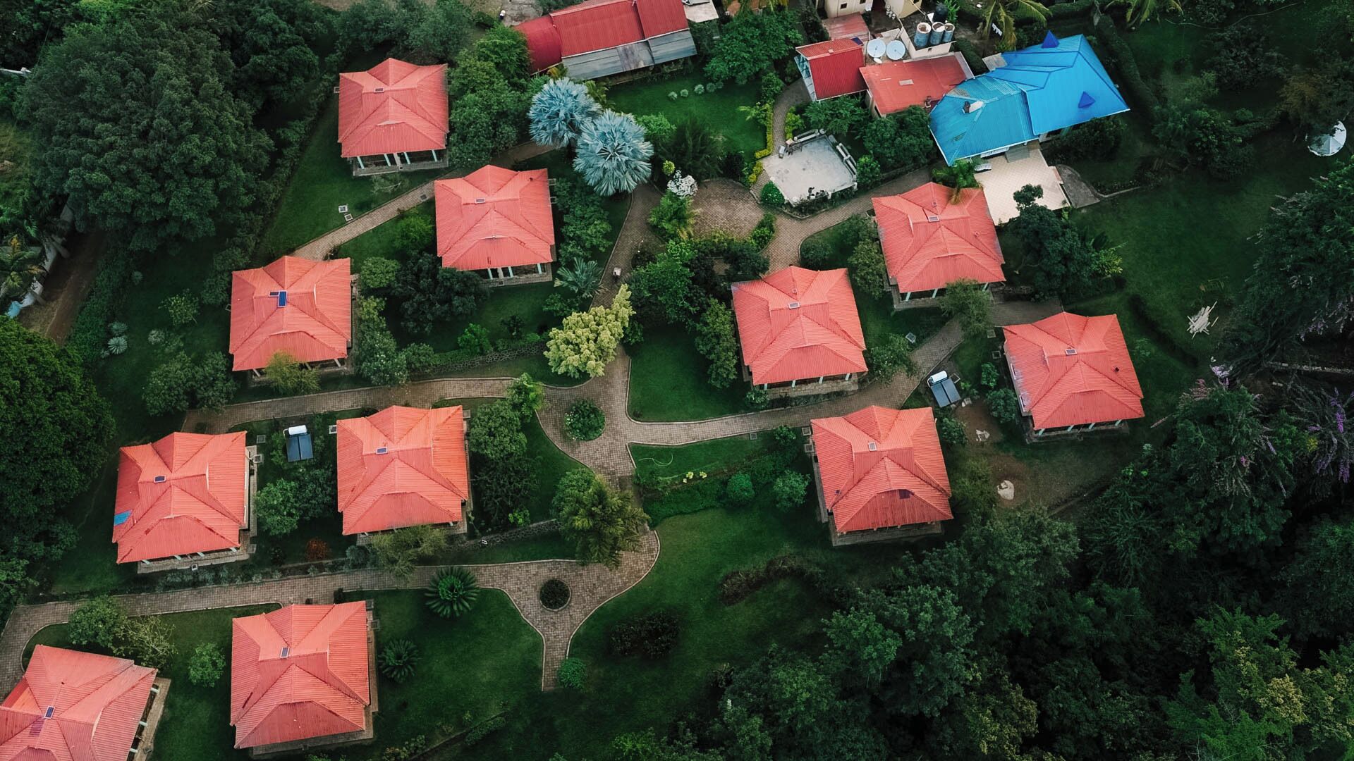 Vista aérea de um bairro residencial com várias casas, cada uma com telhado vermelho, rodeadas por vegetação e um caminho sinuoso.