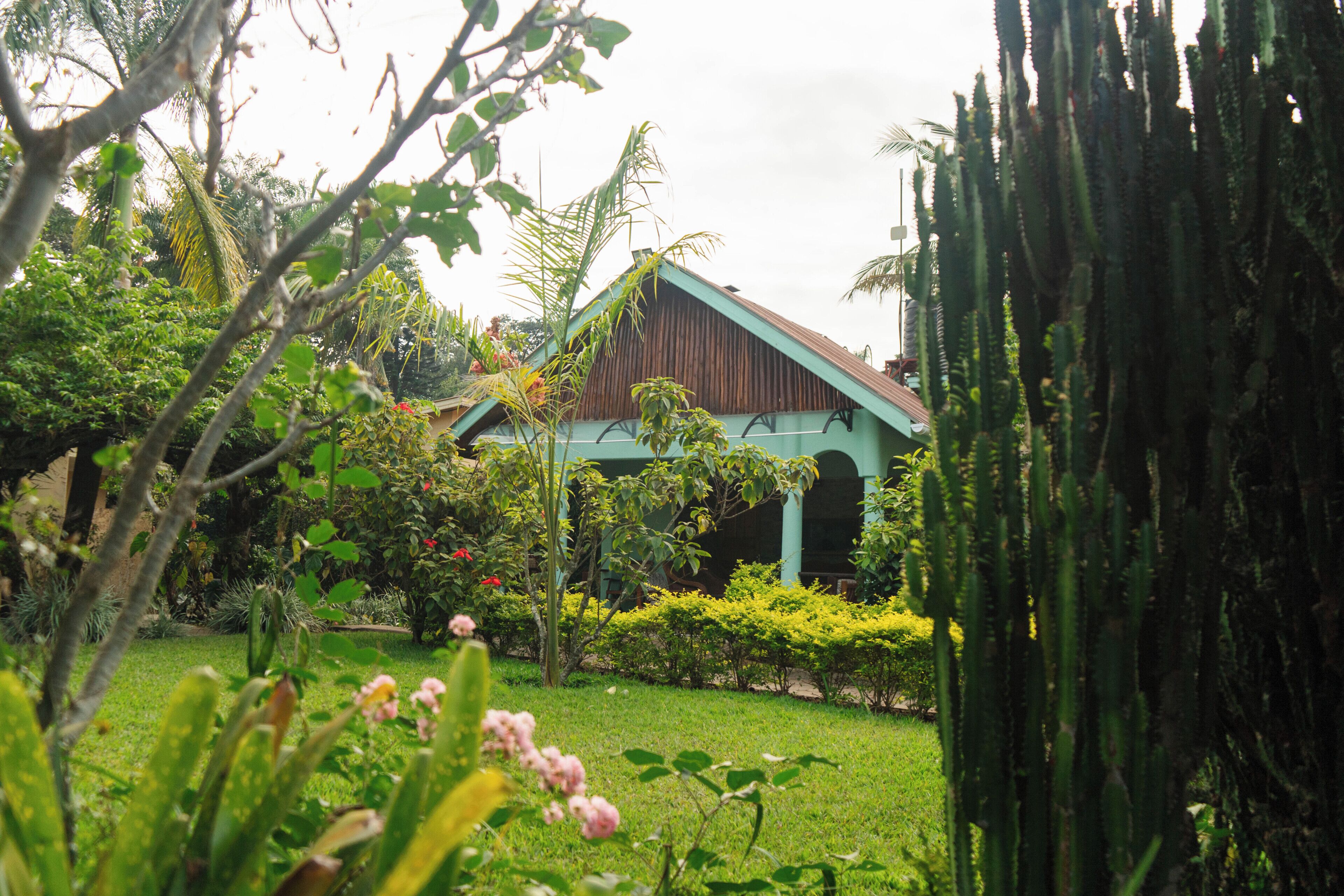 Suite, 1 King Bed, Air conditioning, Garden View | Property grounds