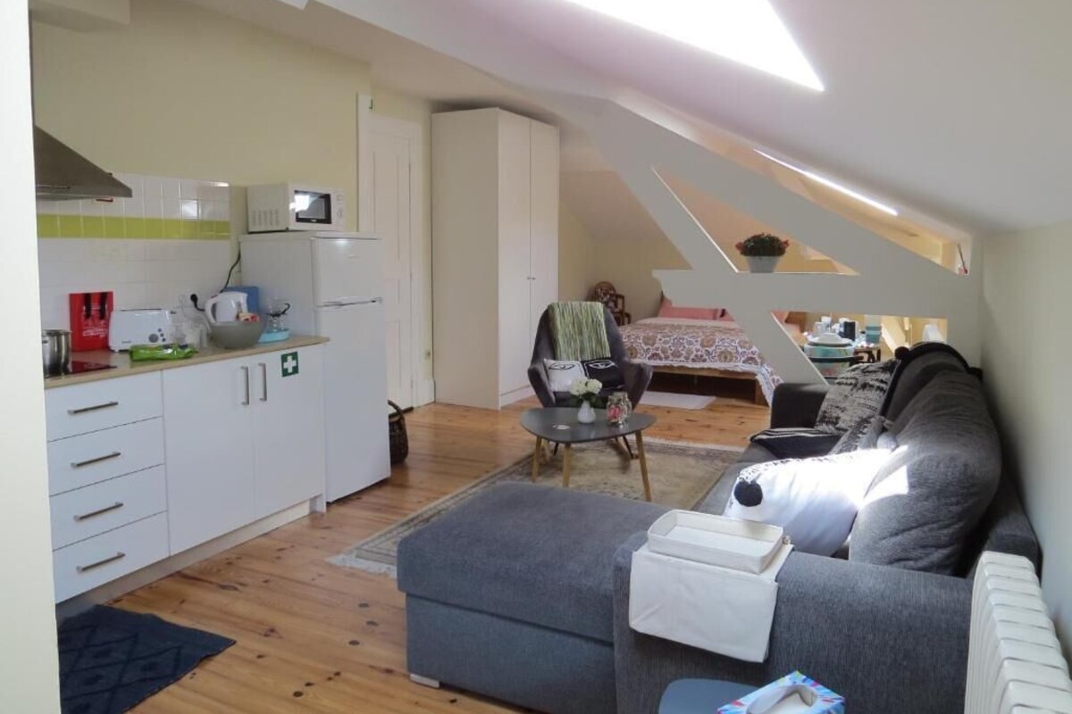 A compact living space with a kitchenette, a sofa, and a dining area.
