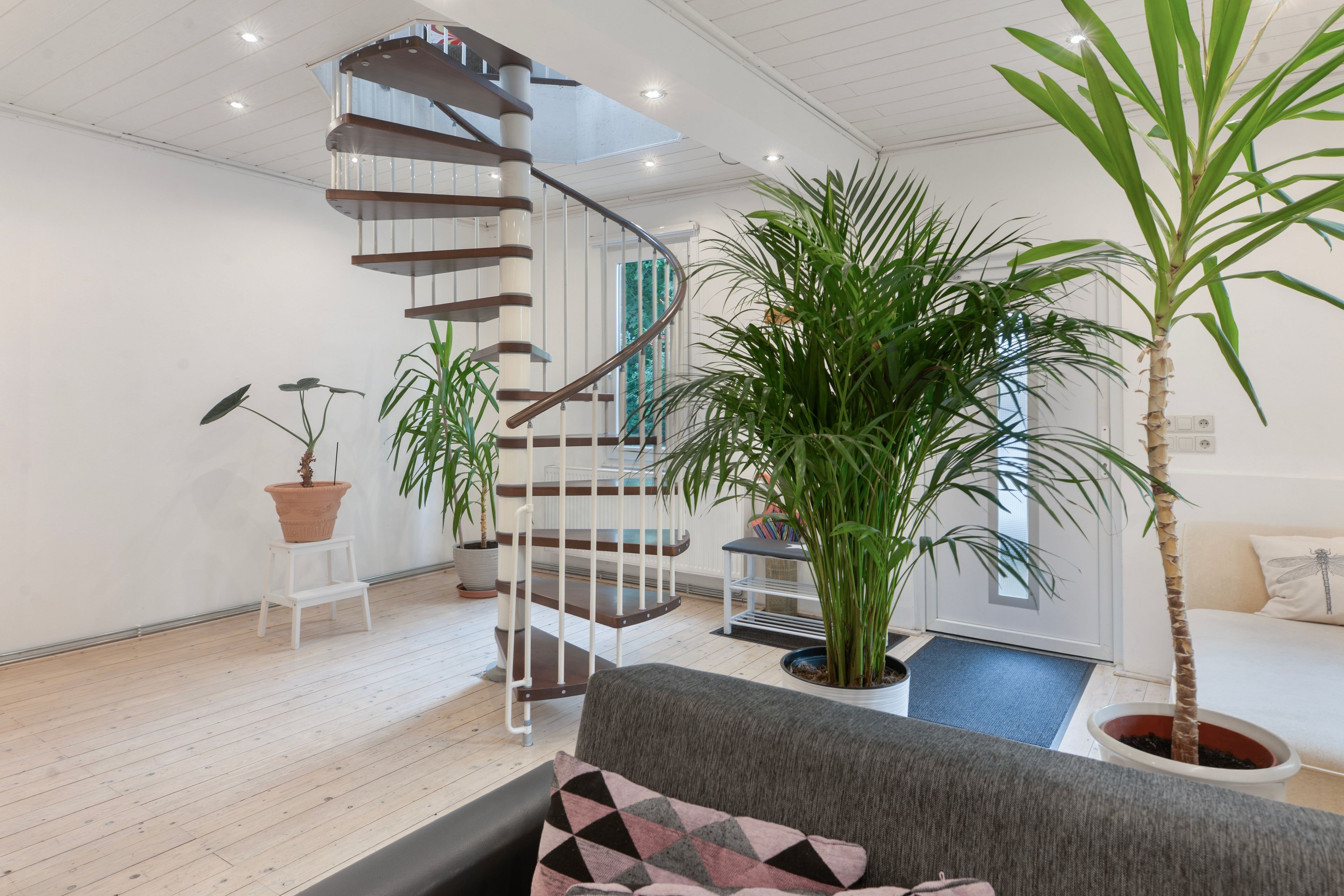 Ein modernes Interieur mit einer Wendeltreppe, einem grauen Sofa und verschiedenen Blumentöpfen.