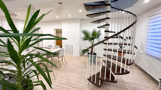 Un interior moderno con una escalera de caracol, suelo de madera y plantas en macetas.