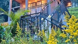 A two-story building with a balcony, surrounded by a garden with yellow flowers. - Leafveil Ella (Ella)