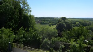 Una vista de un paisaje verde exuberante con árboles y un cielo azul despejado.