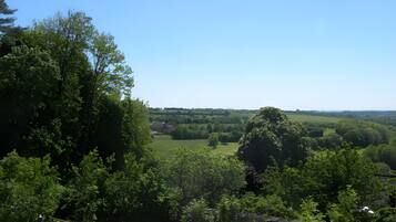 Een weids uitzicht over een groen landschap met bomen en een helderblauwe lucht.