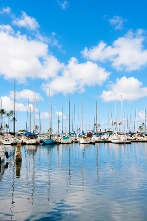Un port de plaisance où sont amarrés de nombreux voiliers, avec une eau calme et des palmiers en arrière-plan.