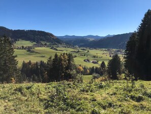Ein Tal mit grünen Feldern, verstreuten Häusern und dichten bewaldeten Hügeln.