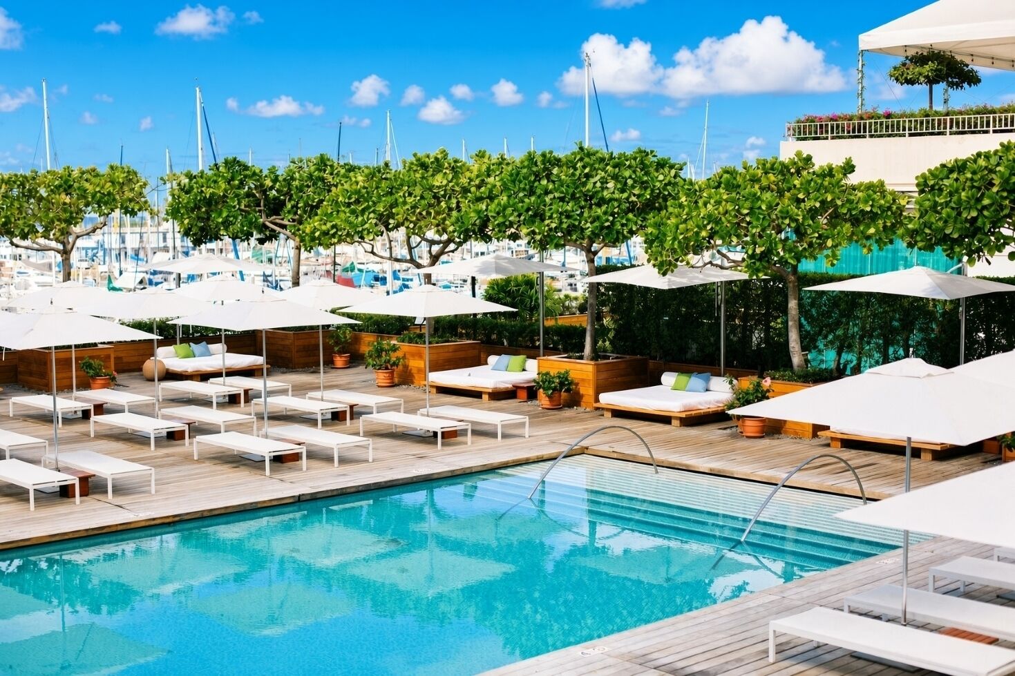 Un espace aménagé au bord de la piscine, avec des chaises longues, des parasols et une piscine à l’eau d’un bleu limpide.