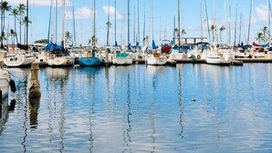 Un port de plaisance où sont amarrés de nombreux voiliers, avec une eau calme et des palmiers en arrière-plan.