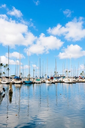A marina with multiple sailboats docked, calm water, and palm trees in the background. - Waikiki | Harborfront Getaway | Pool & Marina | Studio (Honolulu)