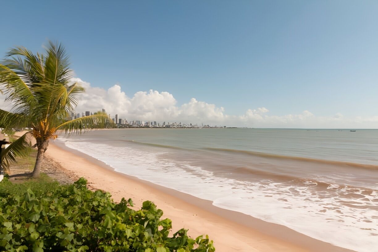 A beach with a palm tree and a city skyline in the background.