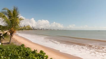 A beach with a palm tree and a city skyline in the background.