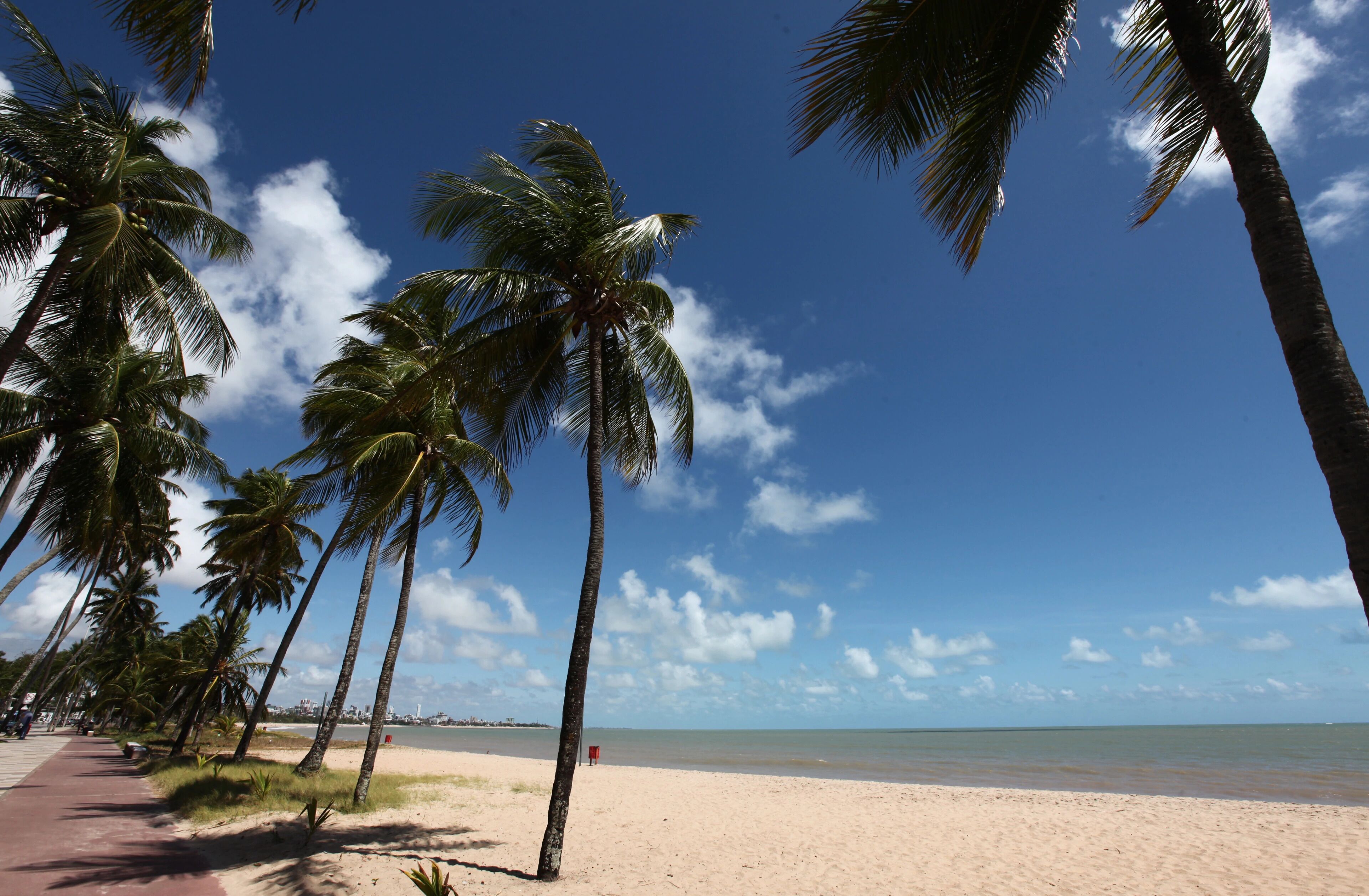 Stroll beneath swaying palms and breathe in ocean air.