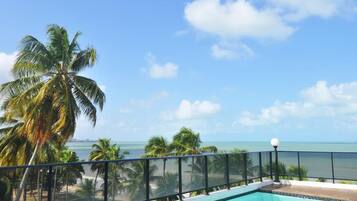 A pool with a view of the ocean and palm trees.