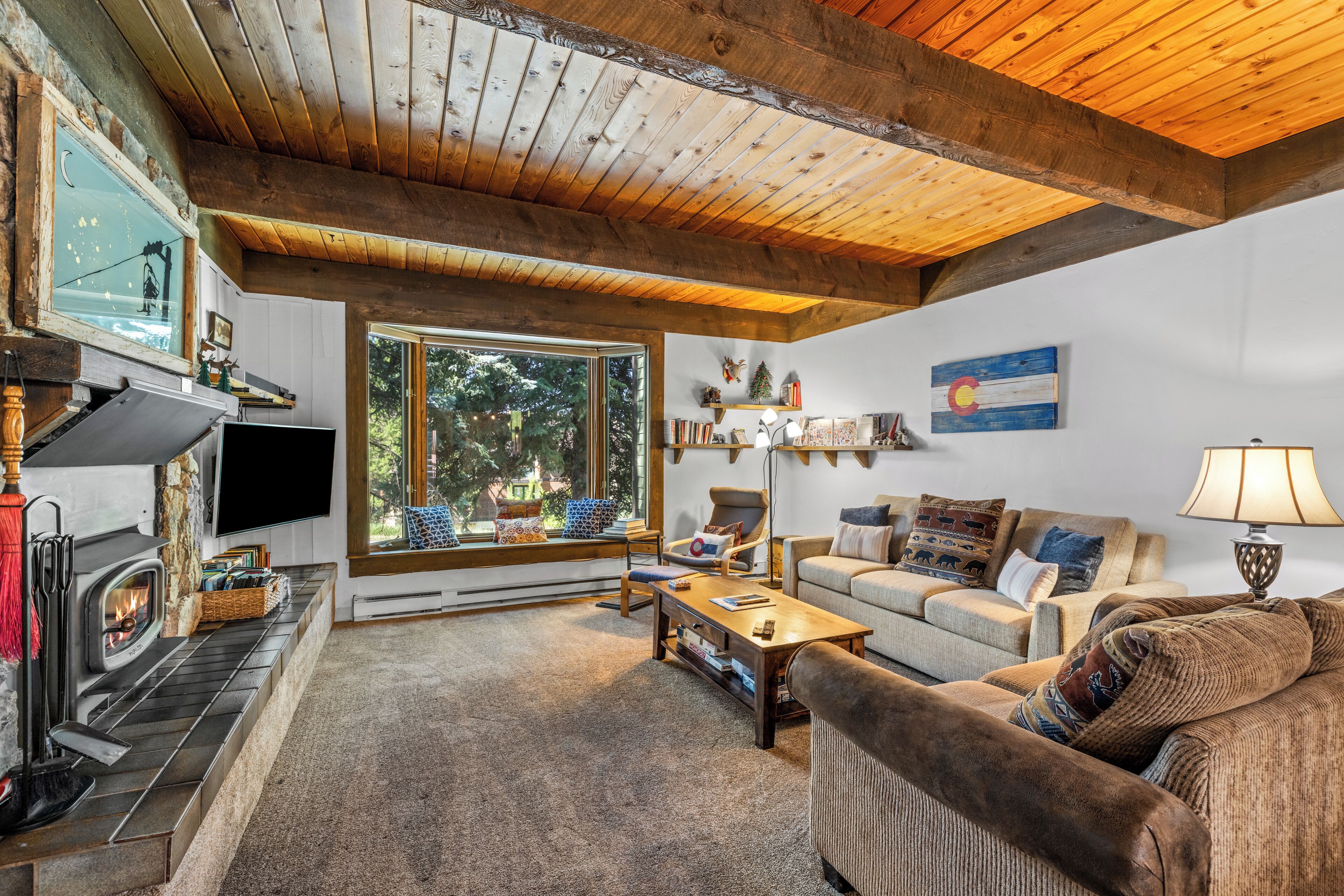 TV, fireplace