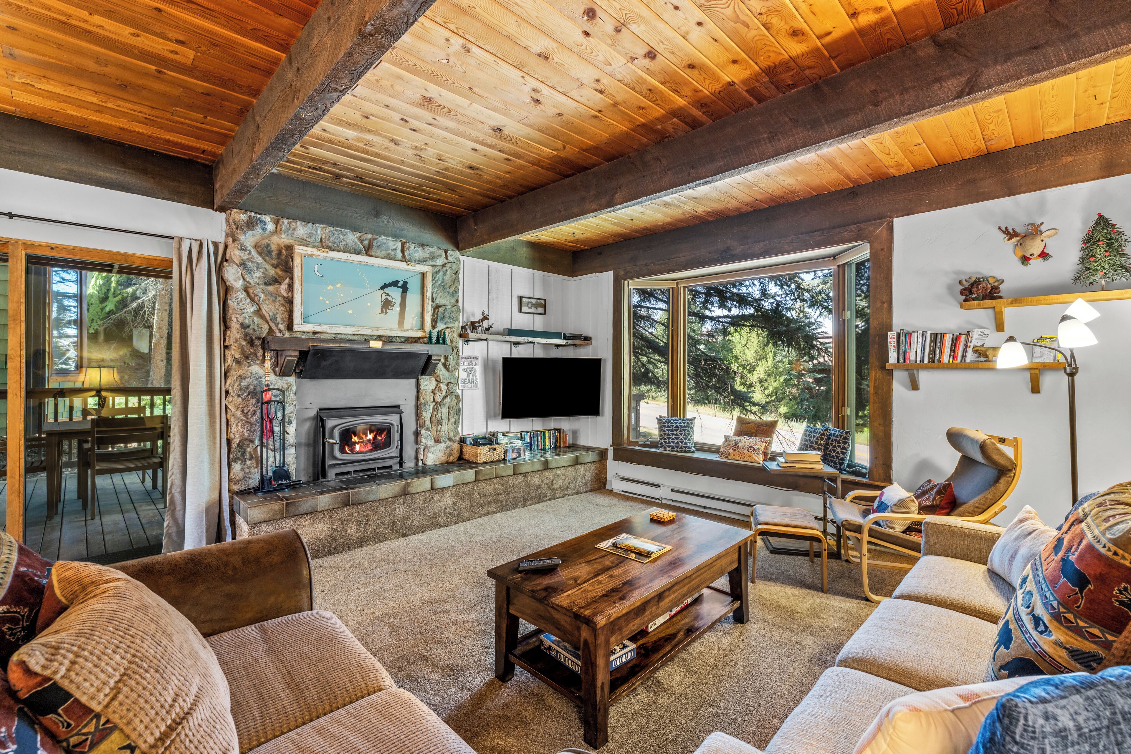 TV, fireplace