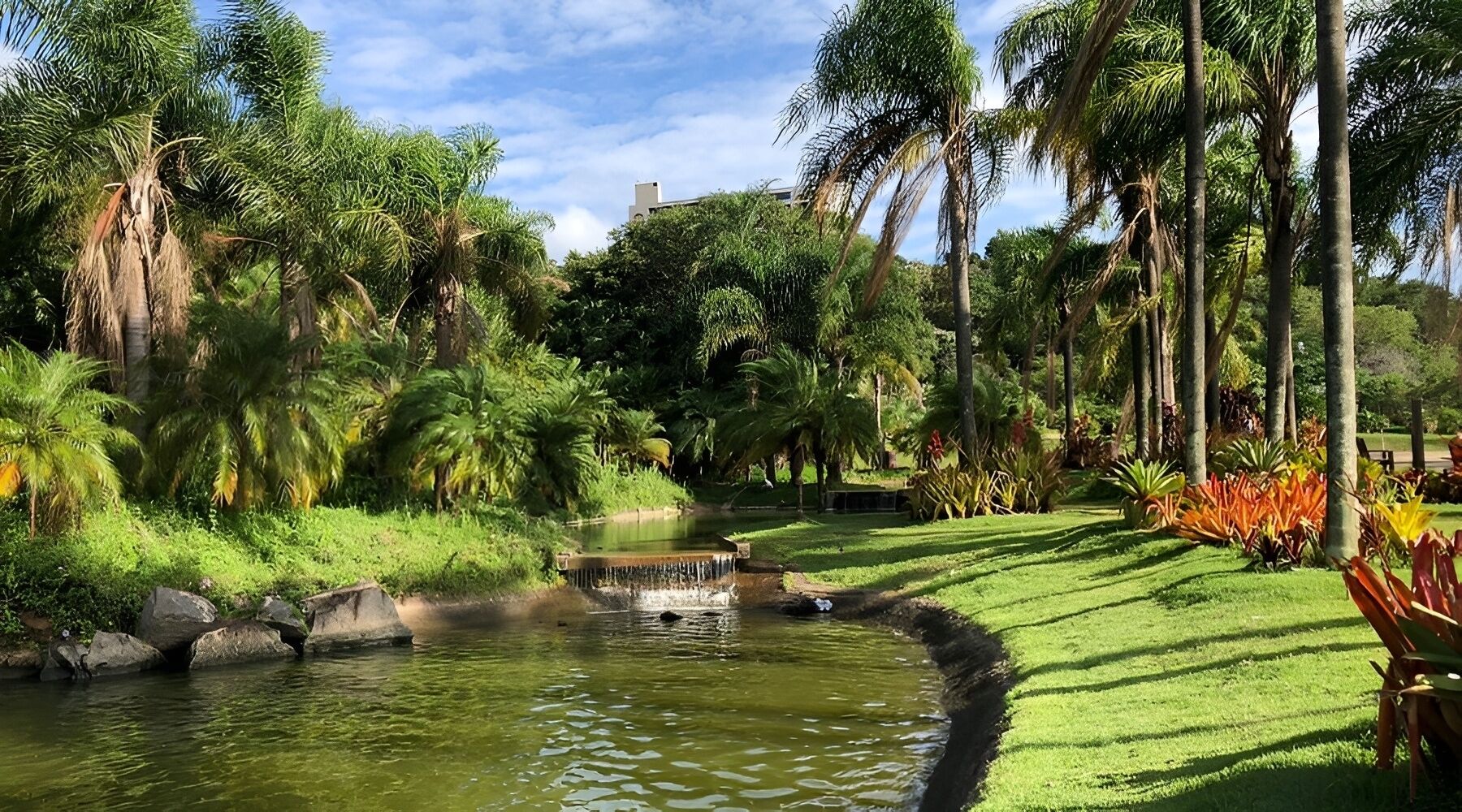 A serene garden with a pond, lush greenery, and tall palm trees.