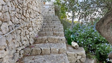 A stone staircase with a green bottle on the steps.