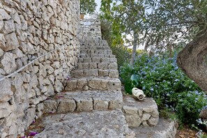 A stone staircase with a green bottle on the steps.
