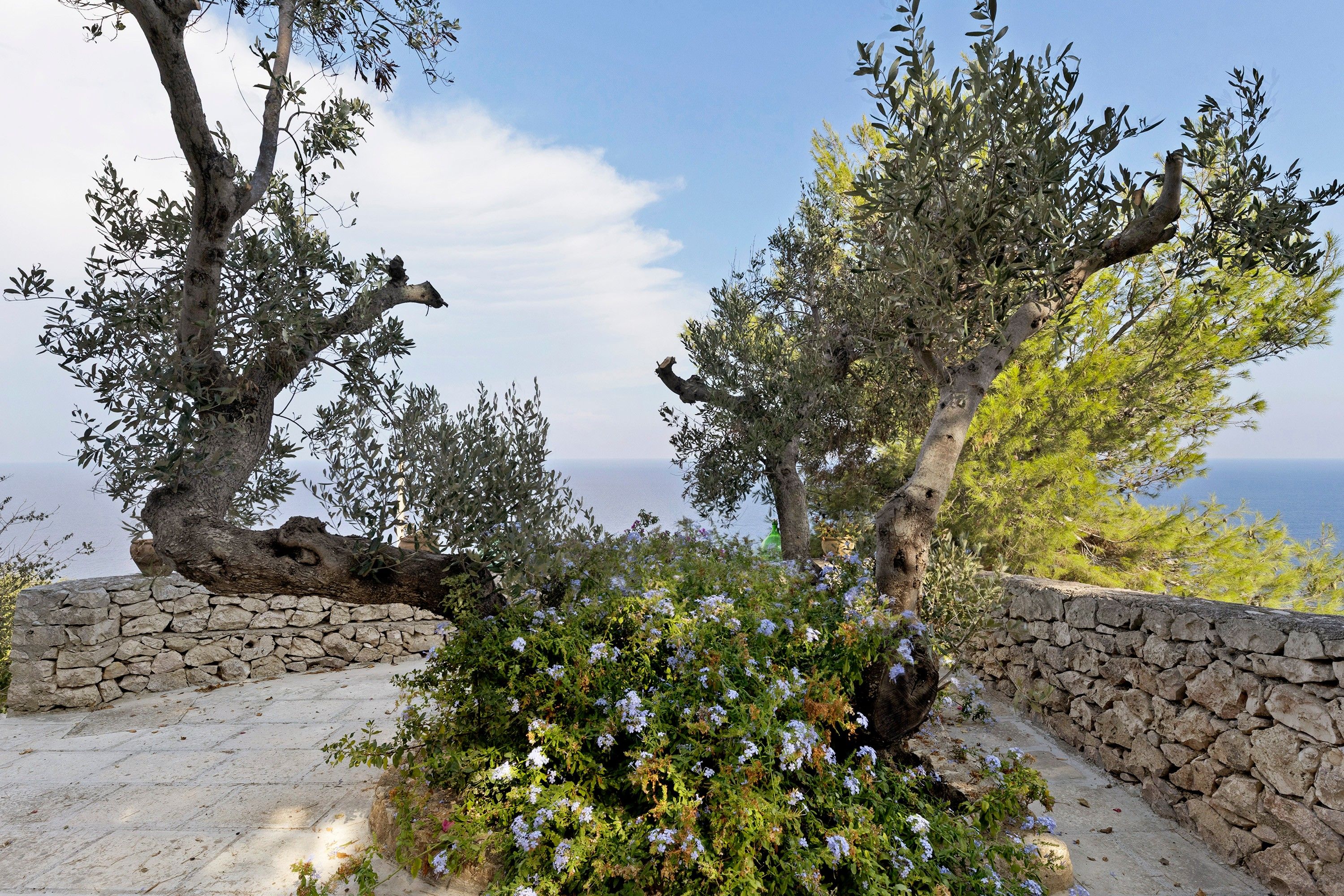 Un camí de pedra que condueix a un mirador amb paisatge, oliveres i vista al mar.