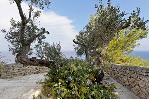 A stone pathway leading to a scenic overlook with olive trees and a view of the sea.