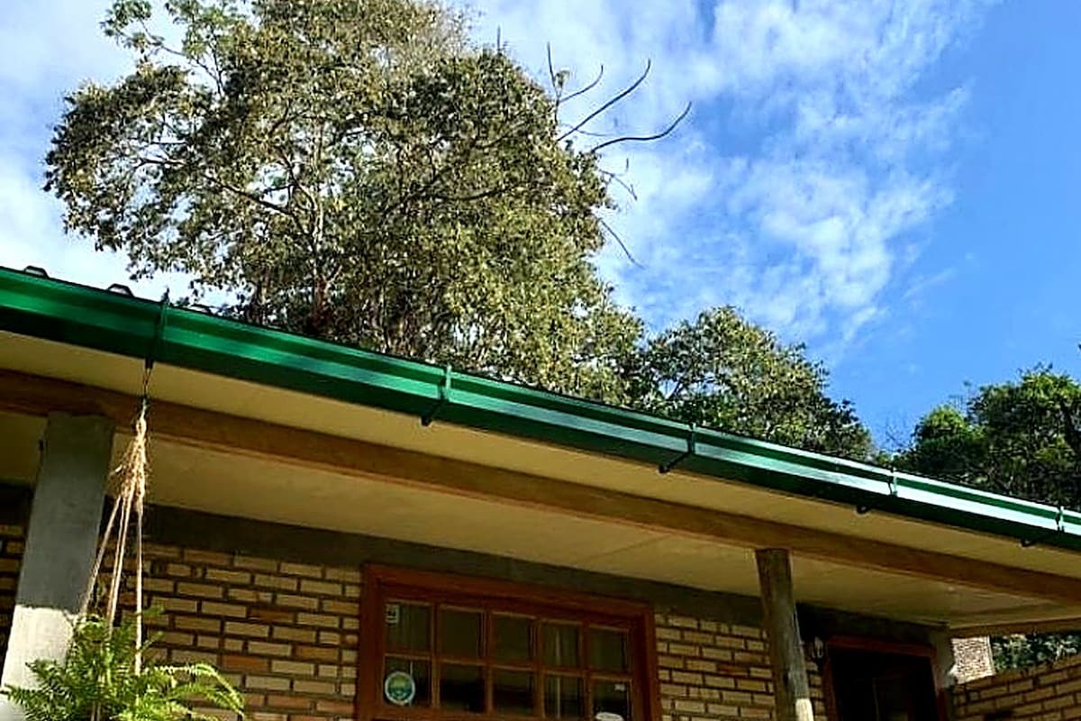 Cottage, uitzicht op tuin | Exterieur