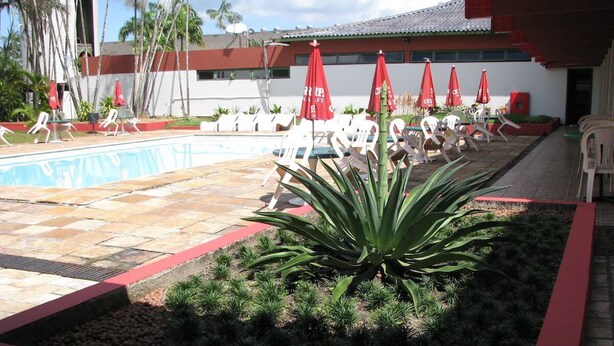Zona de piscina con sillas de descanso y sombrillas, rodeada por un jardín con plantas y una palmera.